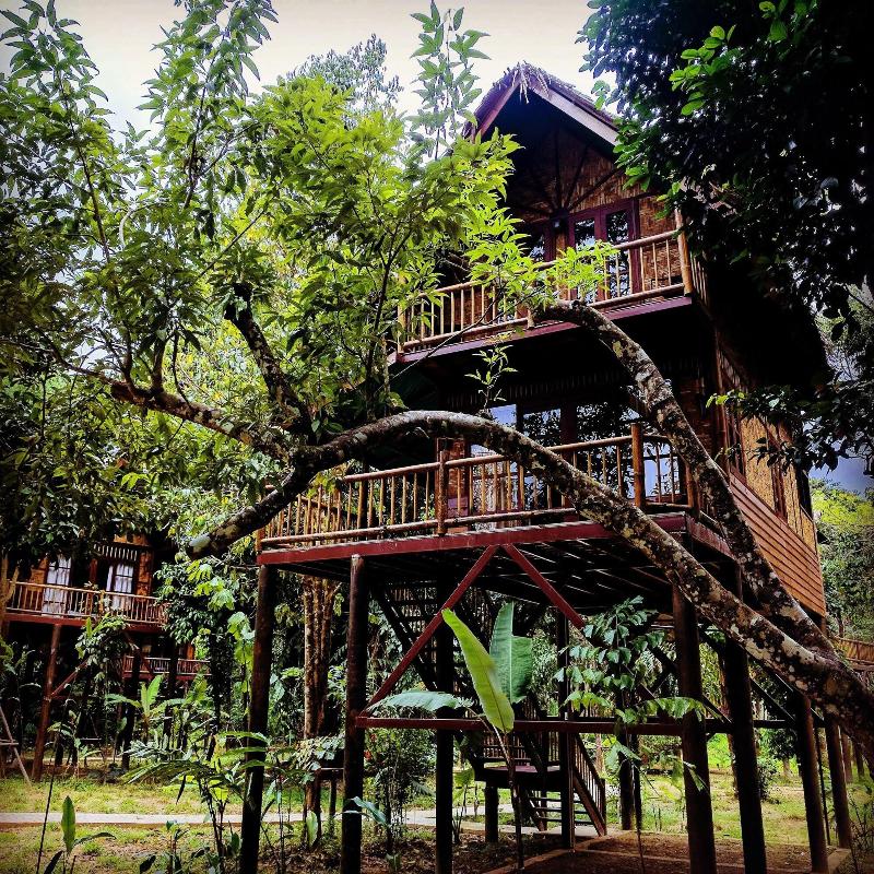 Our Jungle Camp - Eco Resort image