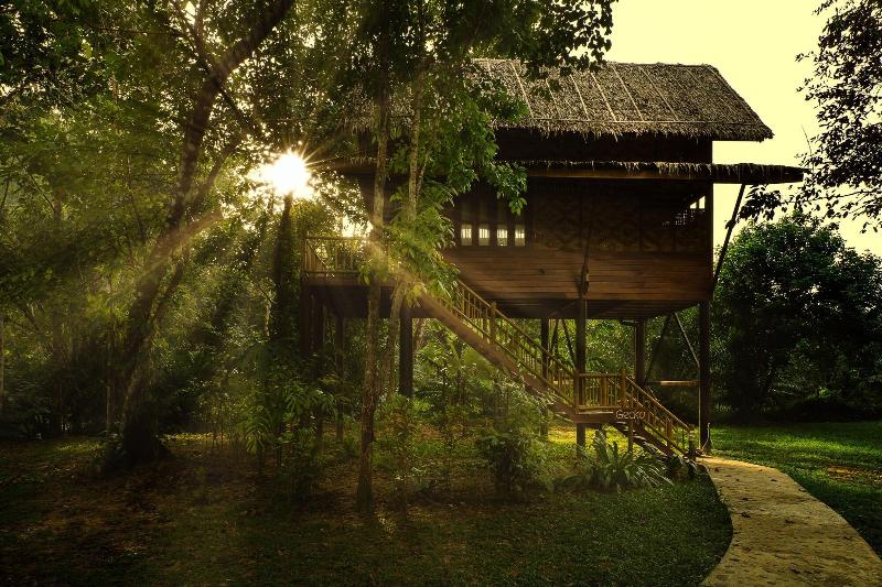 Our Jungle Camp - Eco Resort image