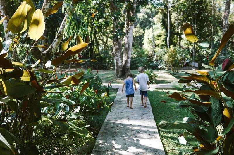 Our Jungle Camp - Eco Resort image