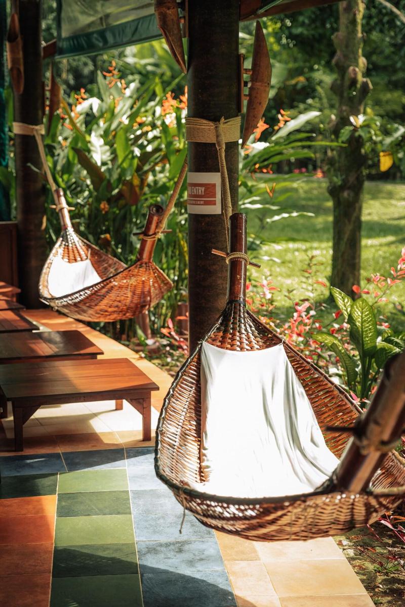 Our Jungle Camp - Eco Resort image