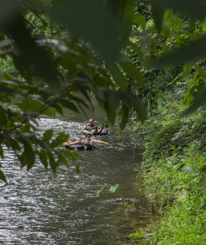 Our Jungle Camp - Eco Resort image