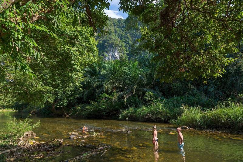 Our Jungle Camp - Eco Resort image