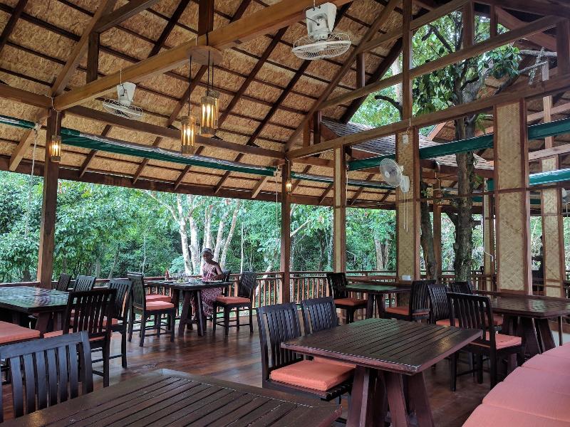 Our Jungle Camp - Eco Resort image