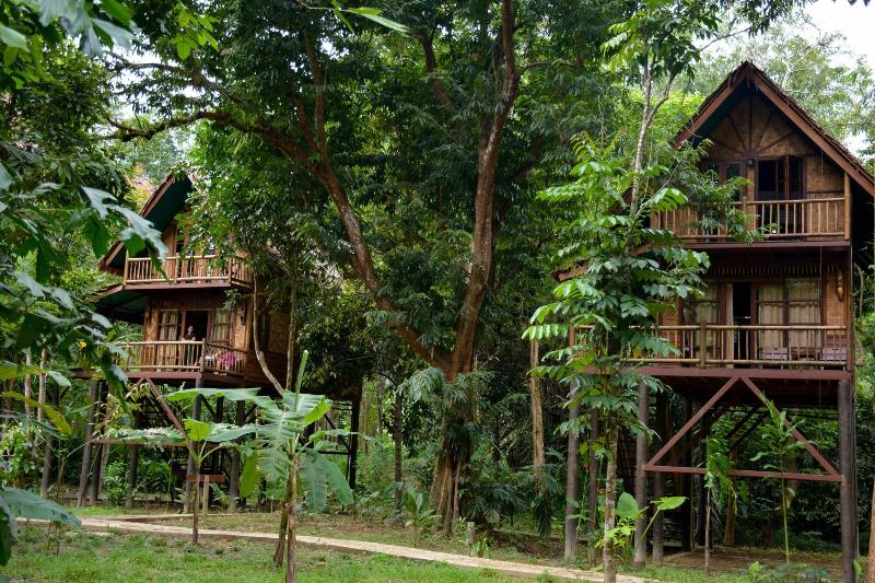 Our Jungle Camp - Eco Resort image