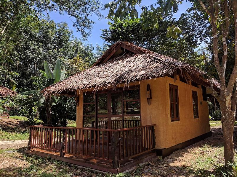 Our Jungle Camp - Eco Resort image