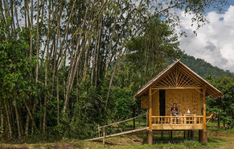 Our Jungle Camp - Eco Resort image
