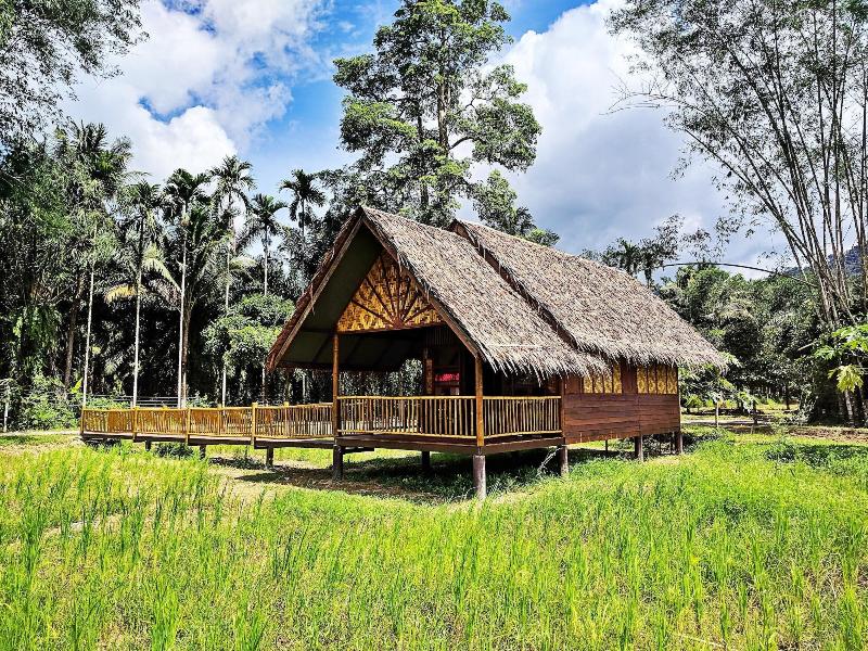 Our Jungle Camp - Eco Resort image