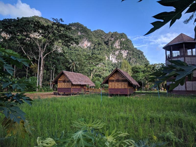 Our Jungle Camp - Eco Resort image