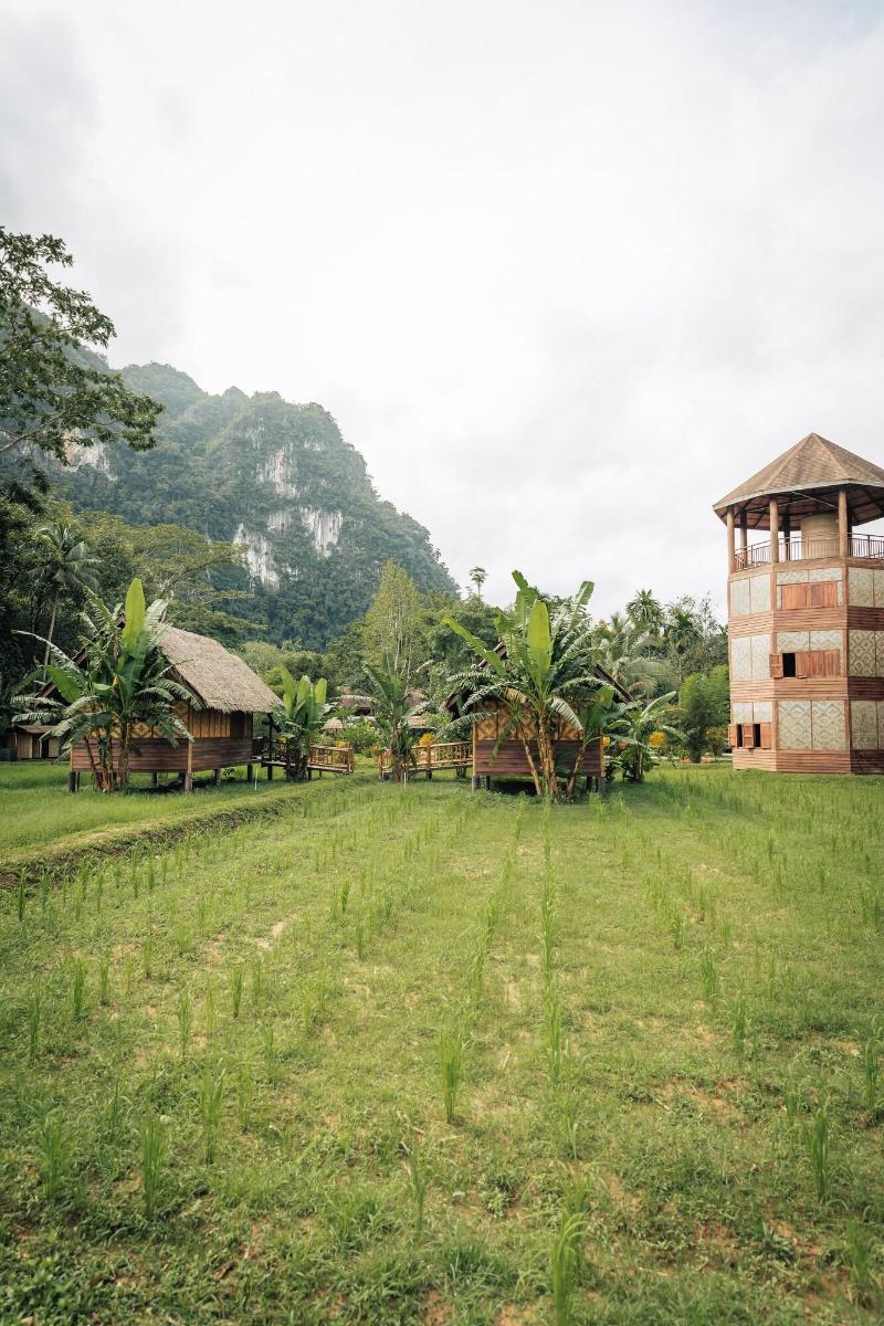 Our Jungle Camp - Eco Resort image