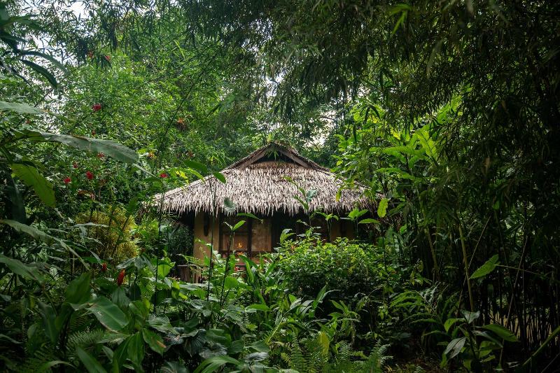 Our Jungle Camp - Eco Resort image
