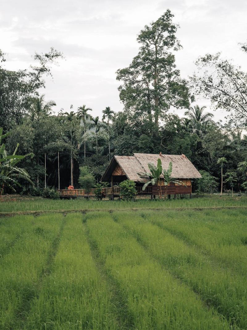 Our Jungle Camp - Eco Resort image