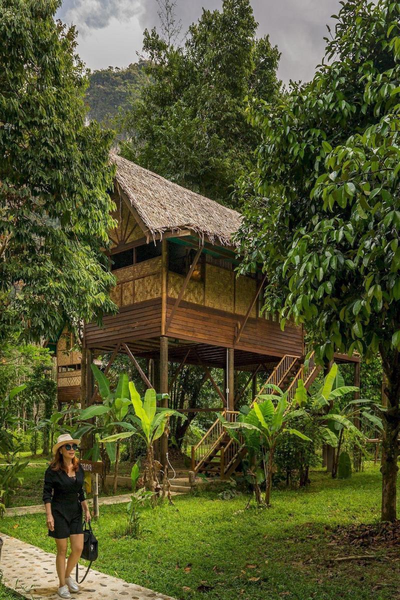 Our Jungle Camp - Eco Resort image