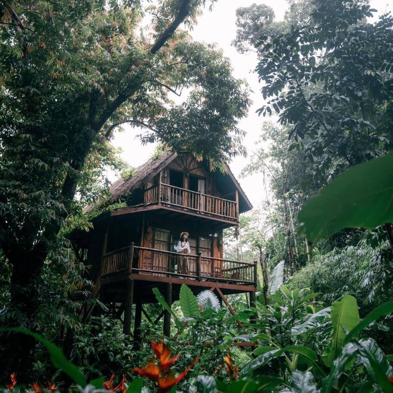 Our Jungle Camp - Eco Resort image
