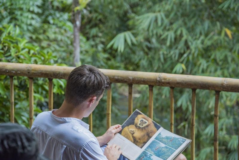 Our Jungle Camp - Eco Resort image