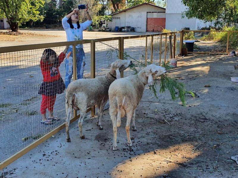 Rich Hotel - Image 10