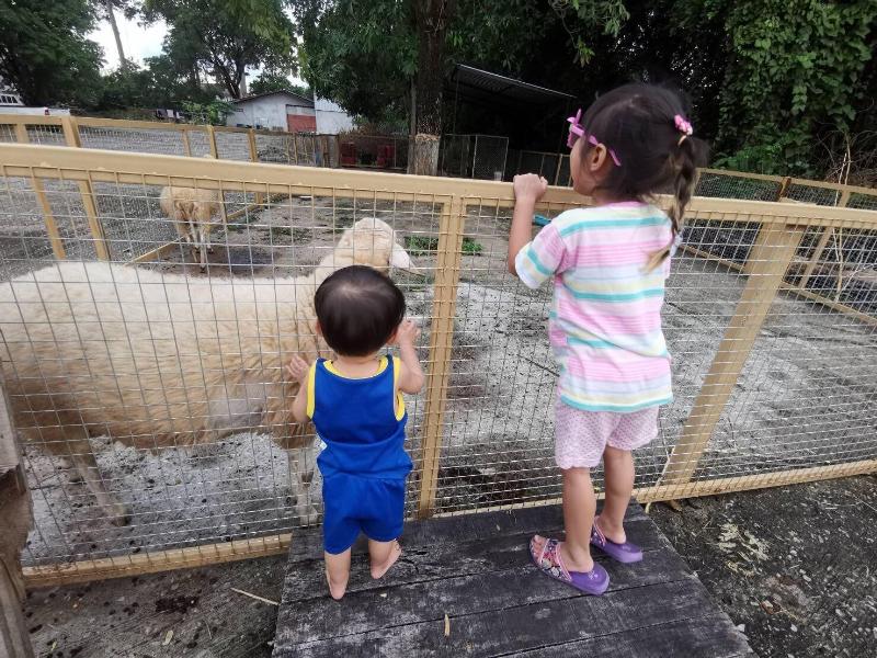 Rich Hotel - Image 7