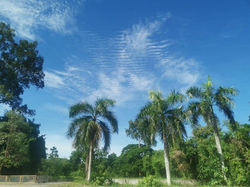 Rich Hotel - Image 5