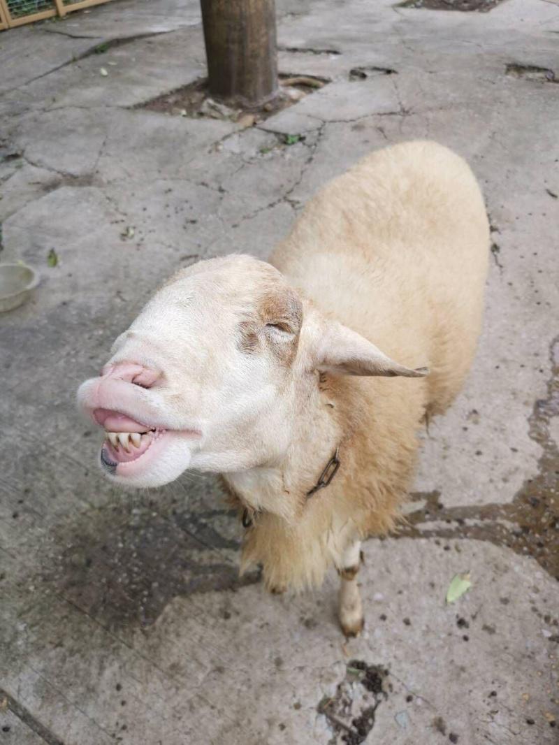 Rich Hotel - Image 6