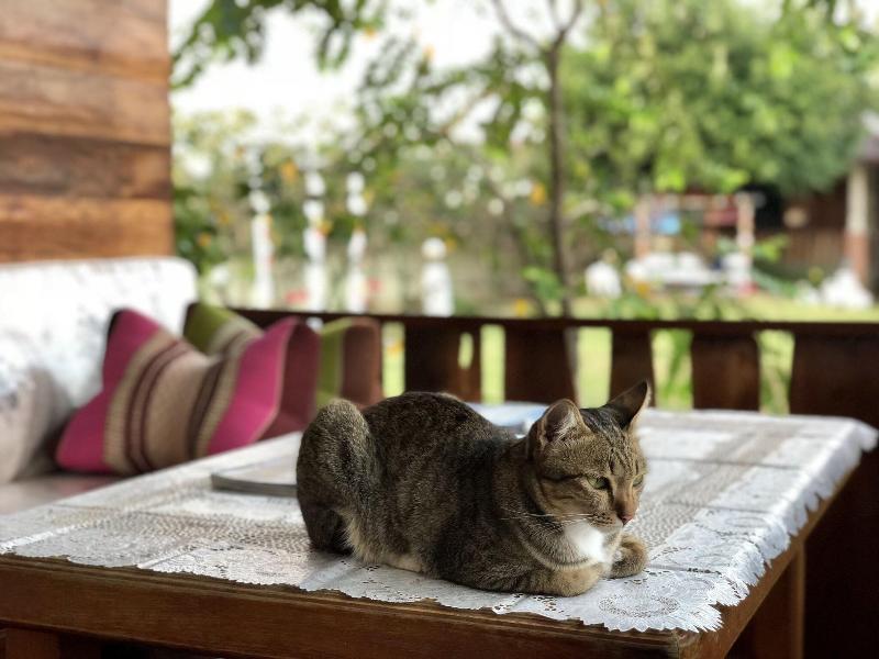 Phupha Inn Resort