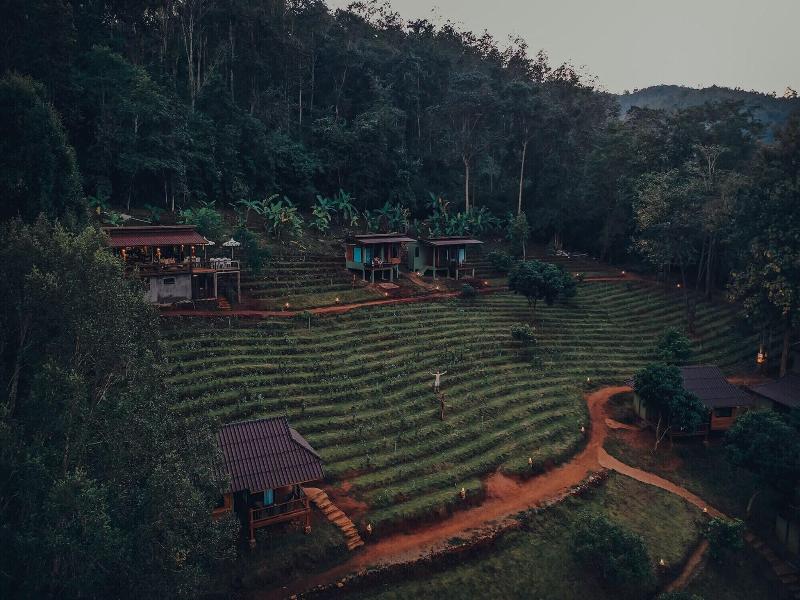 Chiang Mai Elephant Friends