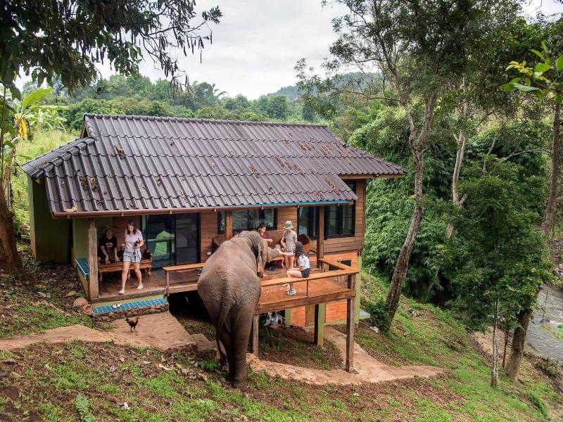 Chiang Mai Elephant Friends