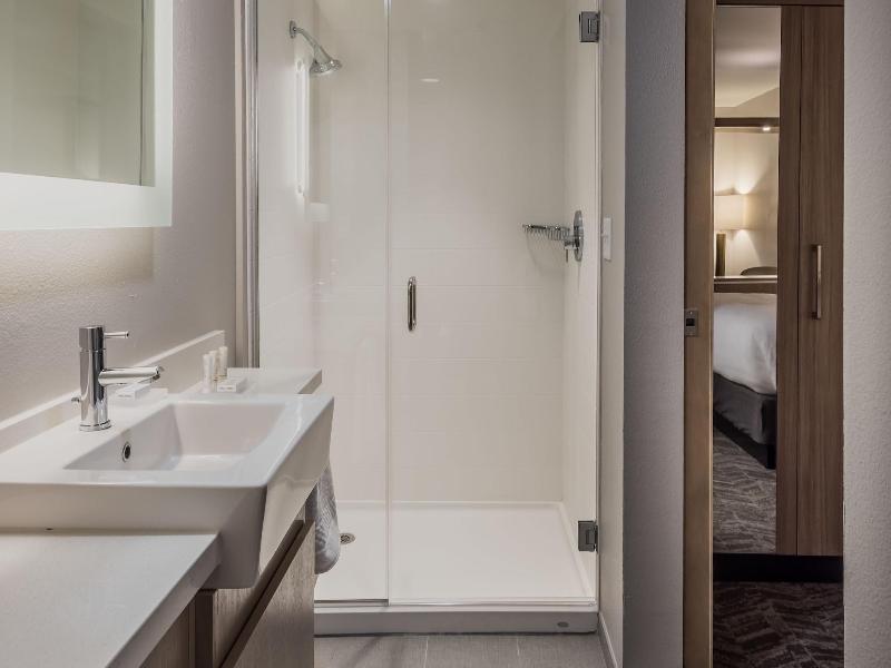 SpringHill Suites by Marriott Fort Worth Historic  image