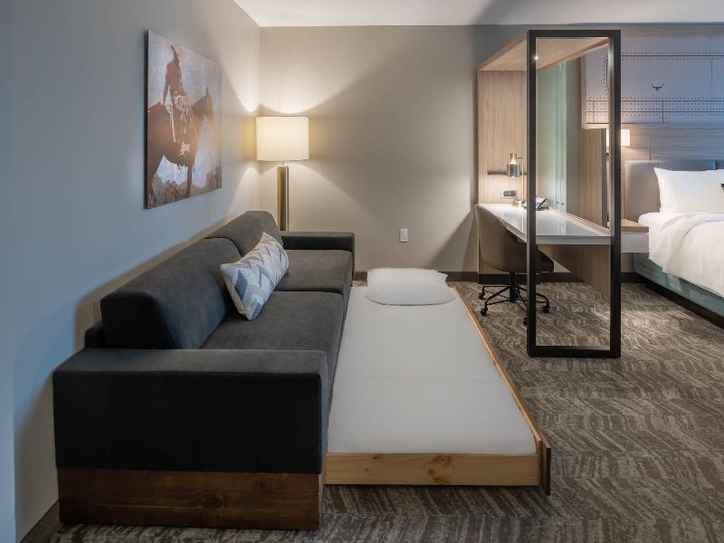 SpringHill Suites by Marriott Fort Worth Historic  image