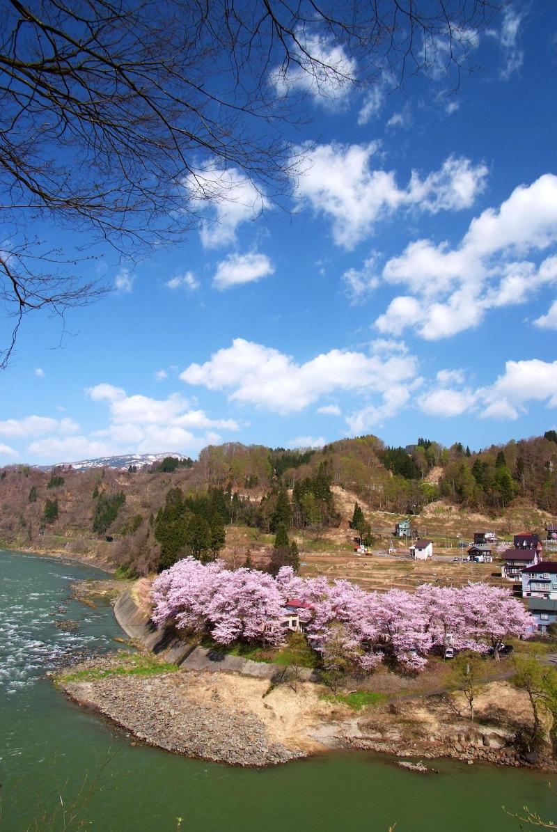 Echigo Tanaka Onsen Shinanosou image
