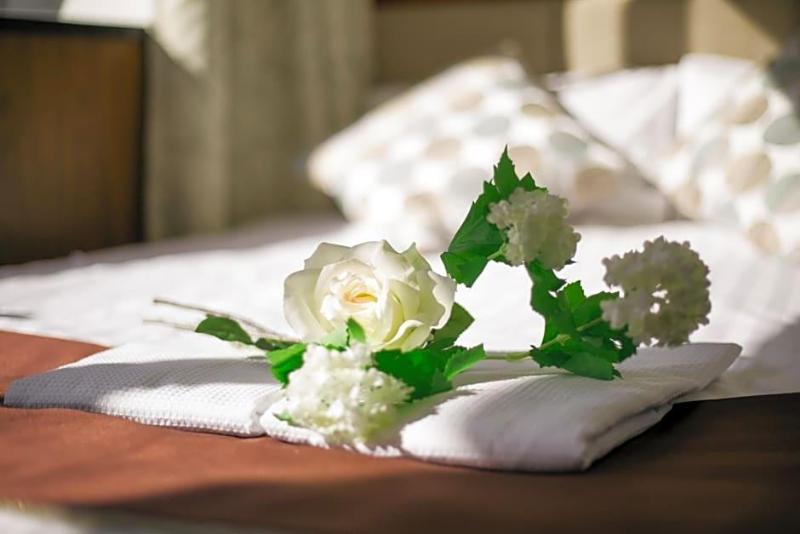 The Tabata Oji Hotel image