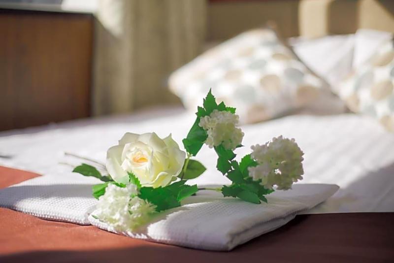 The Tabata Oji Hotel image