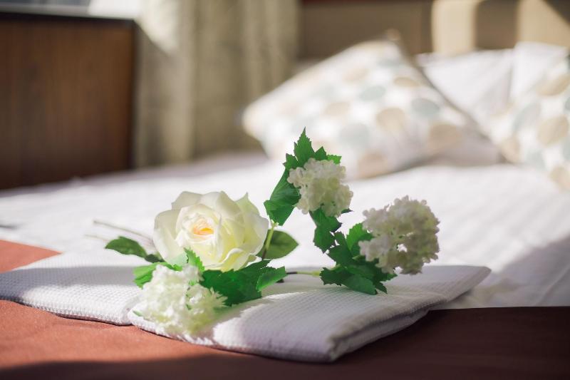 The Tabata Oji Hotel image