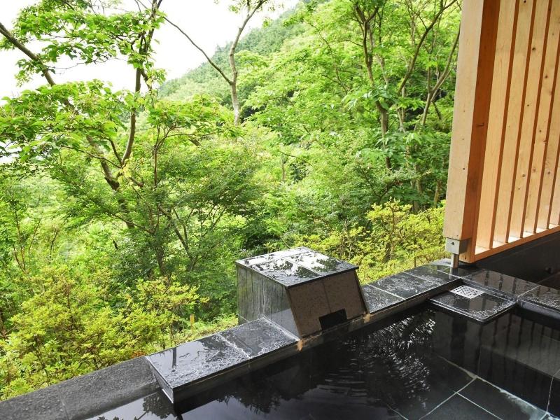 Atami Morino Onsen Hotel image