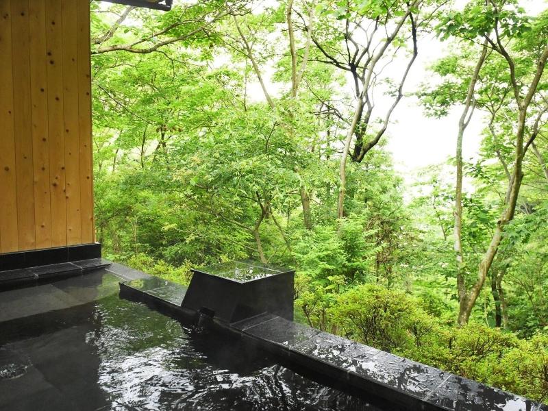 Atami Morino Onsen Hotel image