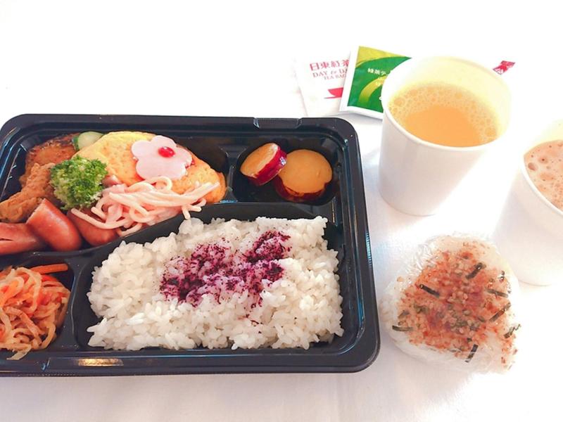Toyoko Inn Fuji Kawaguchiko Ohashi image