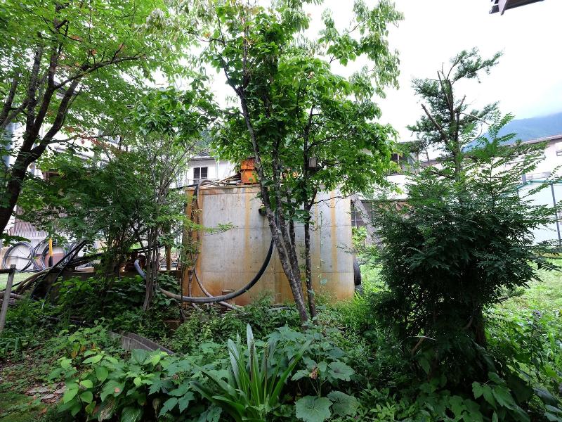 Ryoso Tsuyukusa image