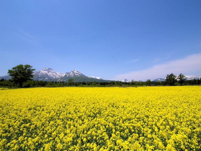 Ryokan Okayama image