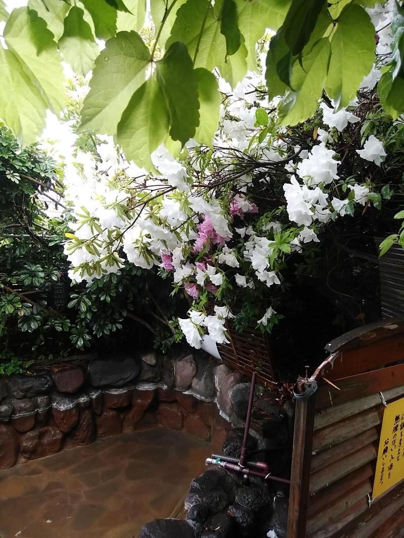 Yokoso Ryokan image