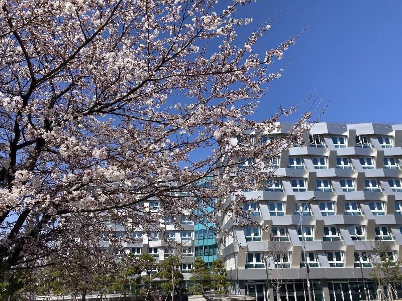 Sokcho Marina Bay Hotel