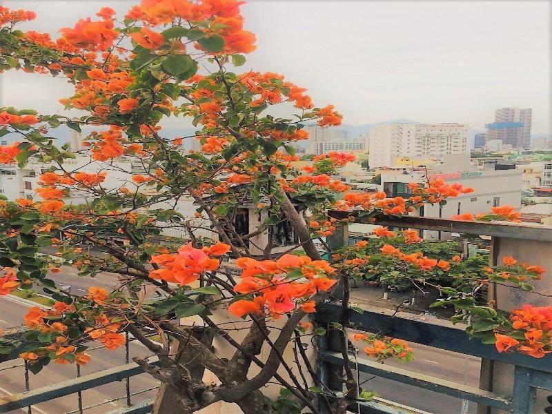 Cong Thuong Hotel image