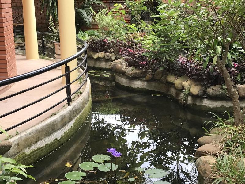 Spring Garden Villa