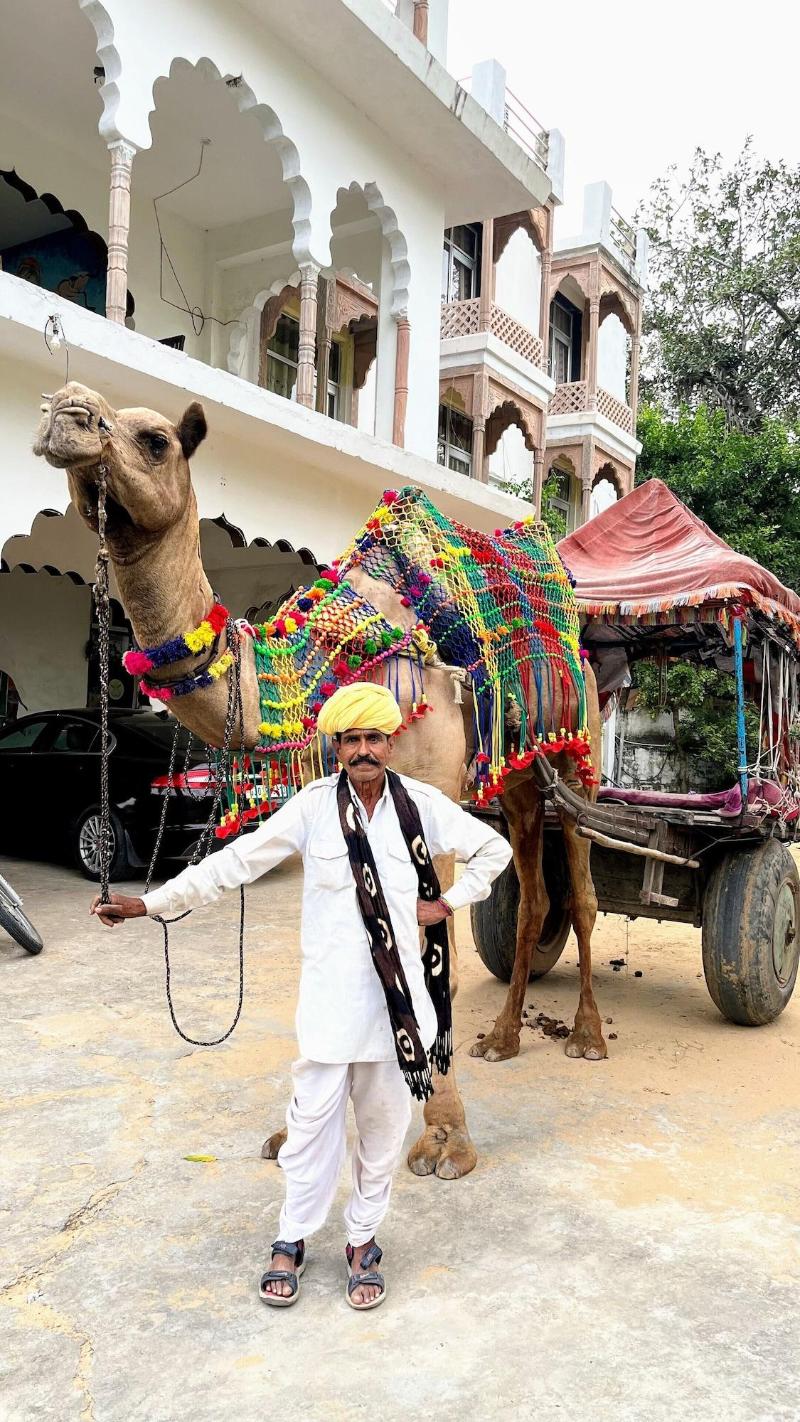 Hotel Radhika Palace Pushkar image