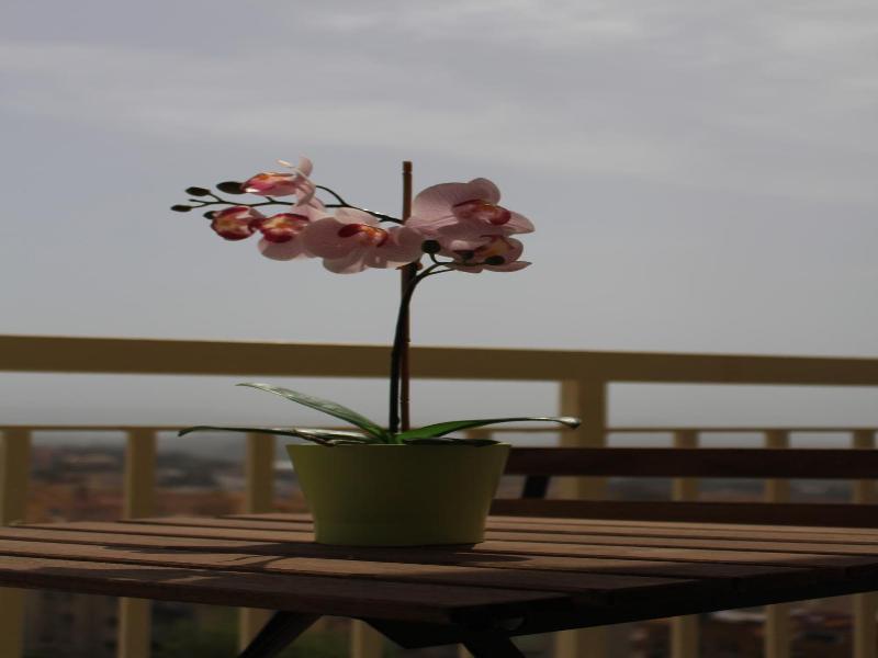 L'Alba sui Templi - Bed & Breakfast image