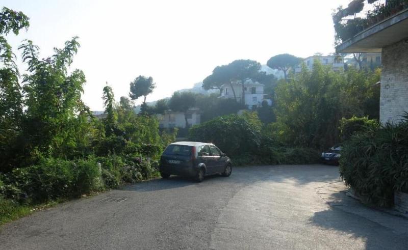 Nido Dei Gabbiani image