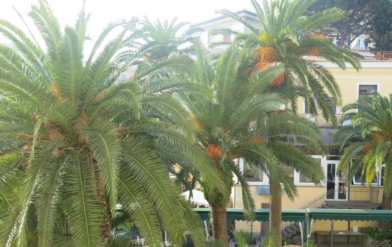 Nido Dei Gabbiani image