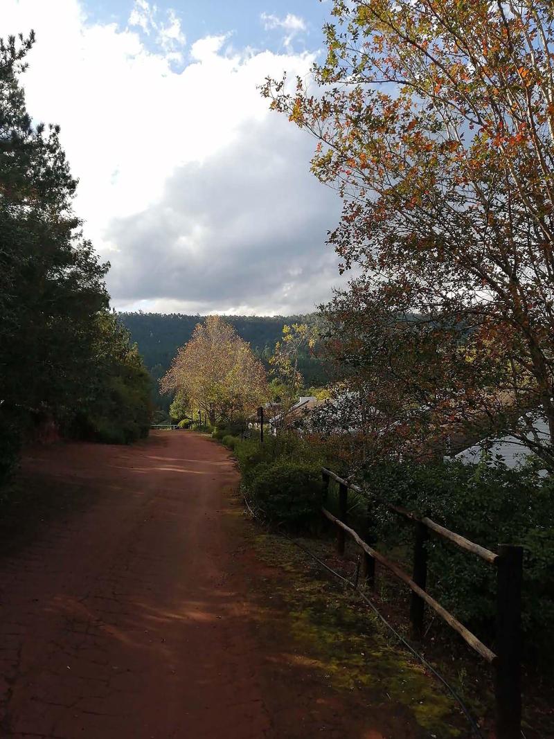 Sabi Star Chalets image