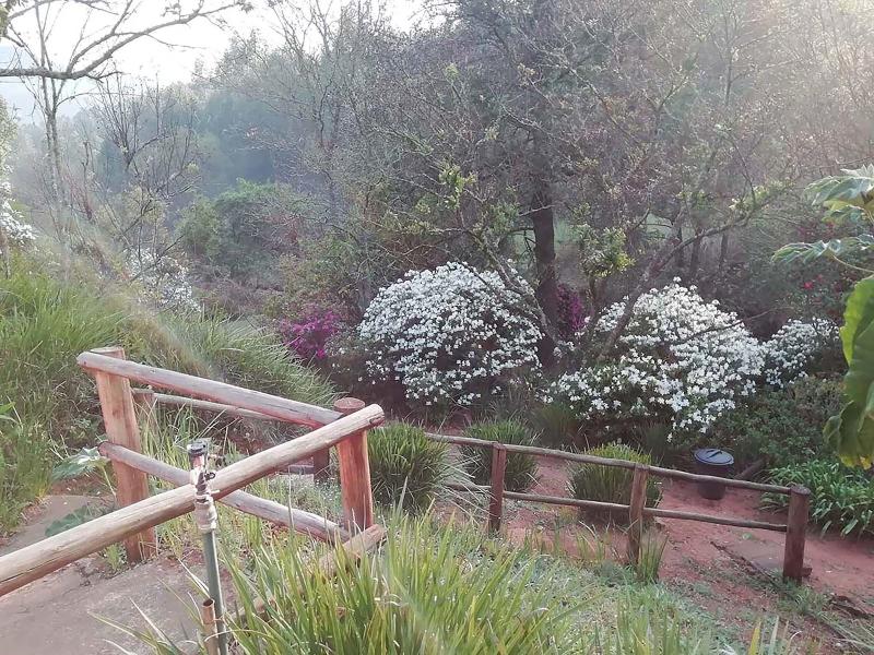 Sabi Star Chalets image