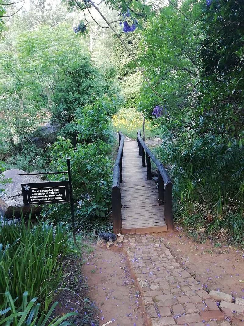 Sabi Star Chalets image