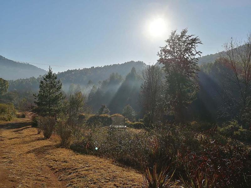 Sabi Star Chalets image