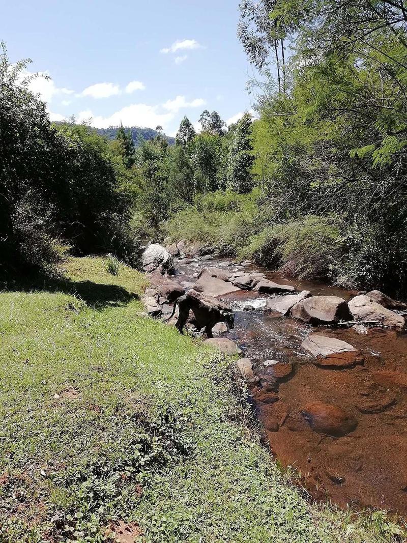 Sabi Star Chalets image