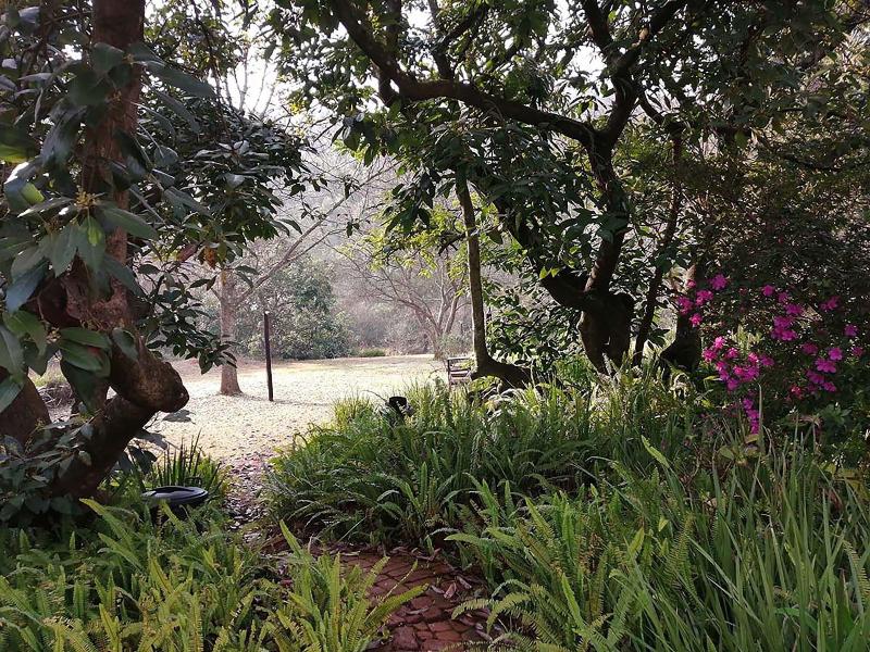 Sabi Star Chalets image
